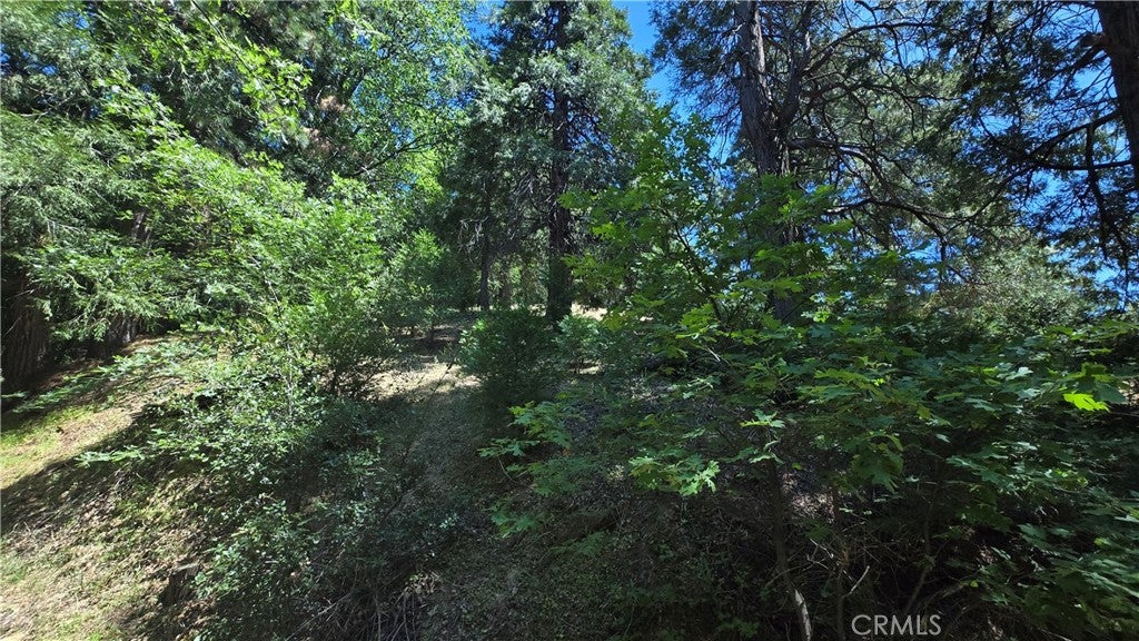 22494 Mojave River Road