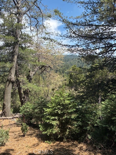 LAKEVIEW lot!
Beautiful Eastern Lakeview upslope lot. Purchase includes APPROVED county plans for a 3,340 square foot custom designed home. 4 bedrooms, 3 baths Parking top and bottom of lot design. So in your purchase you have Survey, Soils report, Plans, Engineering, all permits " ready to issue" by county. Bring your Contractor and start enjoying Lake Arrowhead. Beautiful Pine, Oak, Spruce Trees. Dual access. Excellent Sunshine. Yes this property includes lake privileges.