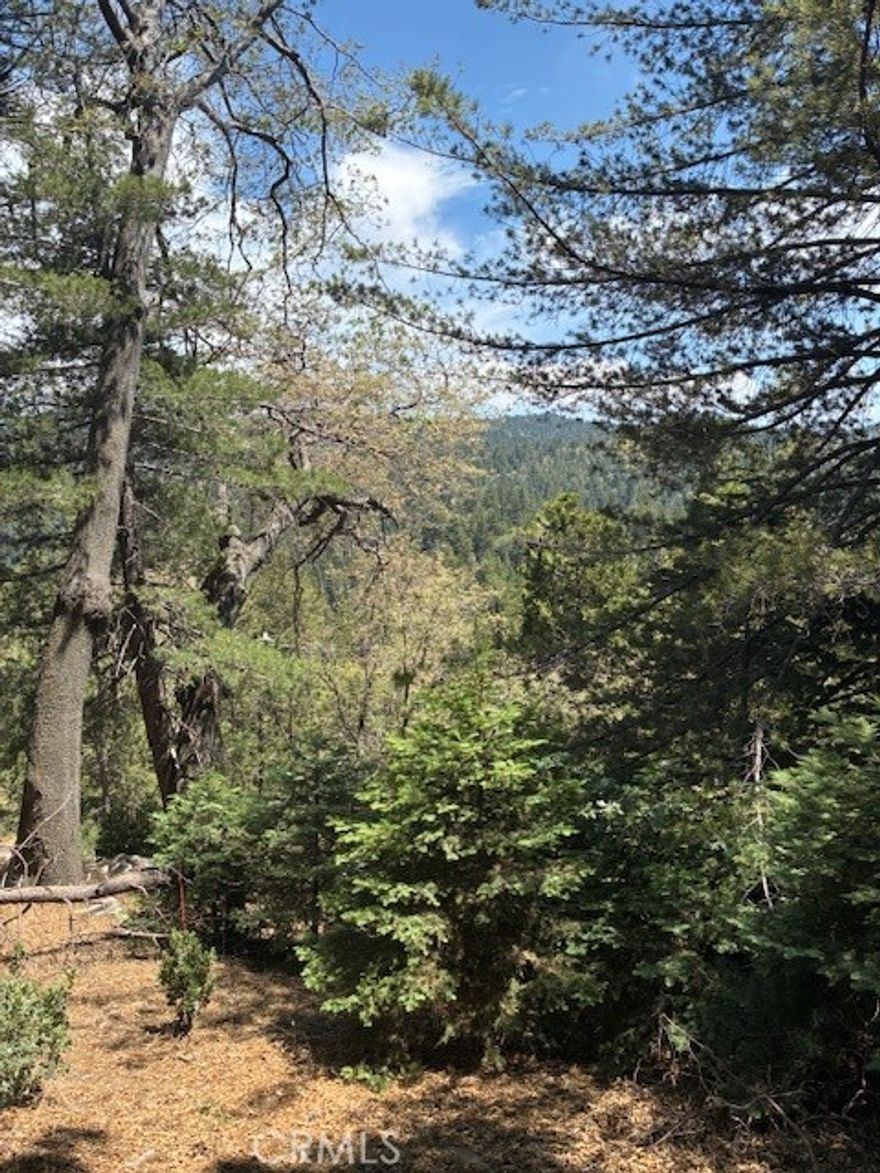 LAKEVIEW lot!

Beautiful Eastern Lakeview upslope lot. Purchase includes APPROVED county plans for a 3,340 square foot custom designed home. 4 bedrooms, 3 baths Parking top and bottom of lot design. So in your purchase you have Survey, Soils report, Plans, Engineering, all permits " ready to issue" by county. Bring your Contractor and start enjoying Lake Arrowhead.  Beautiful Pine, Oak, Spruce Trees. Dual access. Excellent Sunshine. Yes this property includes lake privileges.