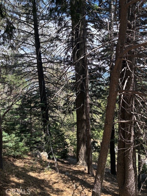 Arrowhead Woods (AWHW) - Land