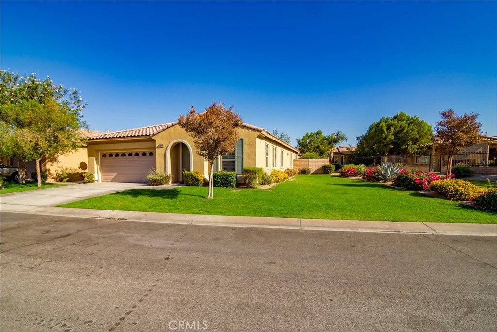 49930 Pacino Street