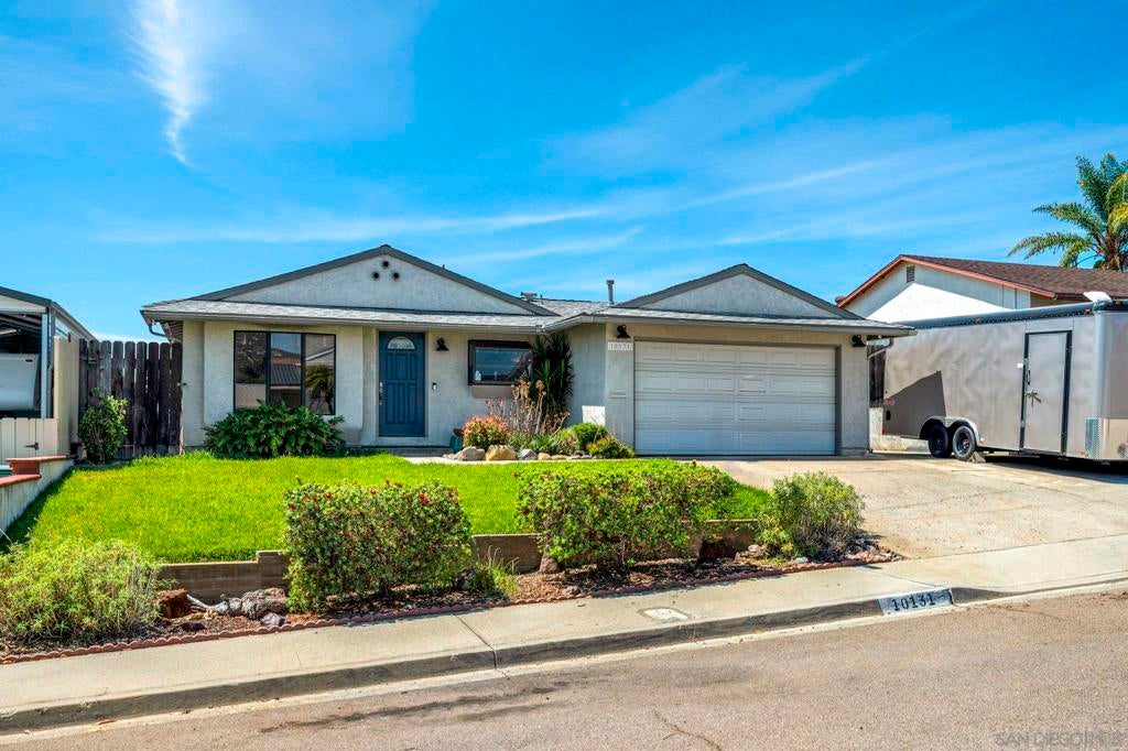 10131 Maple Tree