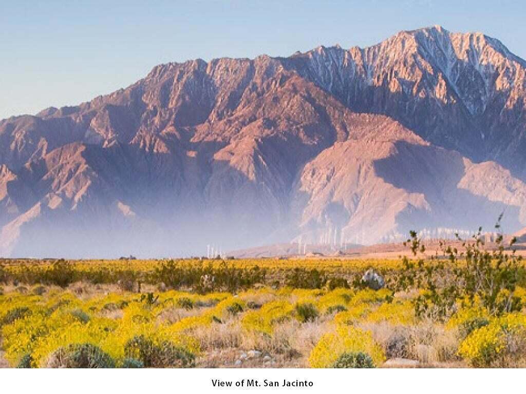 Not Applicable-1 - Land