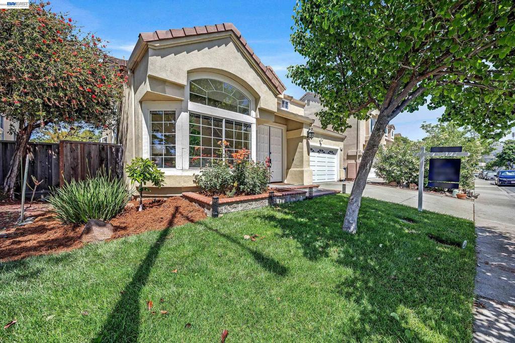 239 Balboa Dr