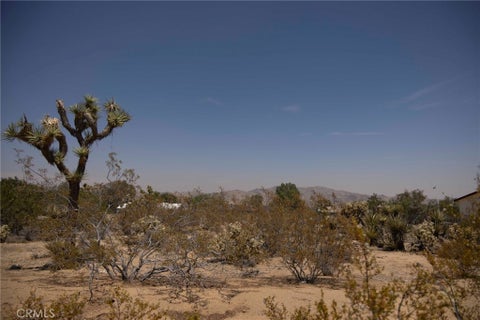 Photo of 0 Alta Mura Drive, Joshua Tree, CA 92252 (MLS # TR26233999)