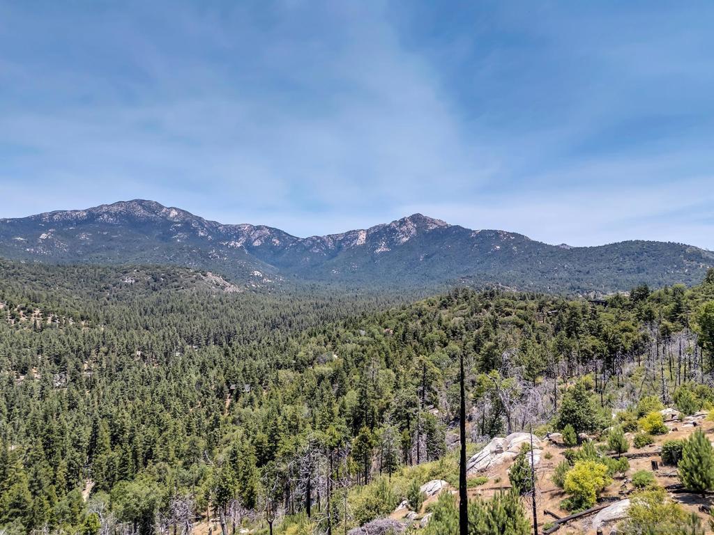 Out Of Area - Residential