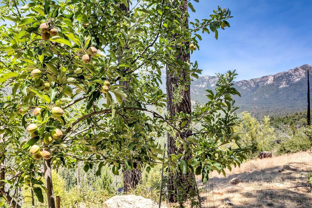 Out Of Area - Residential