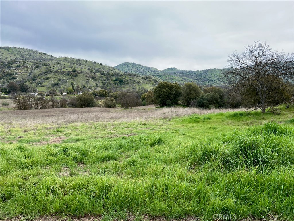 Welcome to one of the area's finest lots! APN 190-246-03. This expansive 4.8-acre parcel of land offers a perfect blend of wide open, flat space and mature tree outcroppings, providing a serene and private setting for your future home. Situated within walking distance to the local County Store and just minutes away from the bustling Central Valley, this prime location offers convenience and tranquility. The property is equipped with power and phone lines at the edge, ready for development. With its versatile potential for various uses, this land is a rare find. Don't miss the opportunity to explore this exceptional property before it's gone!