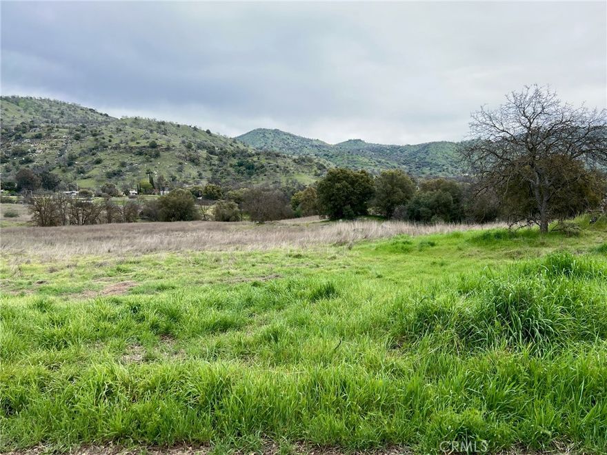 Welcome to one of the area's finest lots! APN 190-246-03. This expansive 4.8-acre parcel of land offers a perfect blend of wide open, flat space and mature tree outcroppings, providing a serene and private setting for your future home. Situated within walking distance to the local County Store and just minutes away from the bustling Central Valley, this prime location offers convenience and tranquility. The property is equipped with power and phone lines at the edge, ready for development. With its versatile potential for various uses, this land is a rare find. Don't miss the opportunity to explore this exceptional property before it's gone!