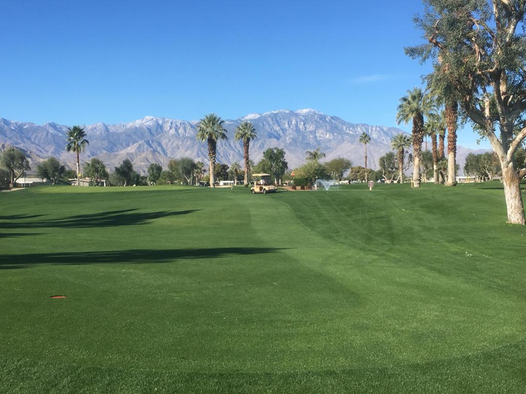 Palm Desert Greens - Manufactured In Park