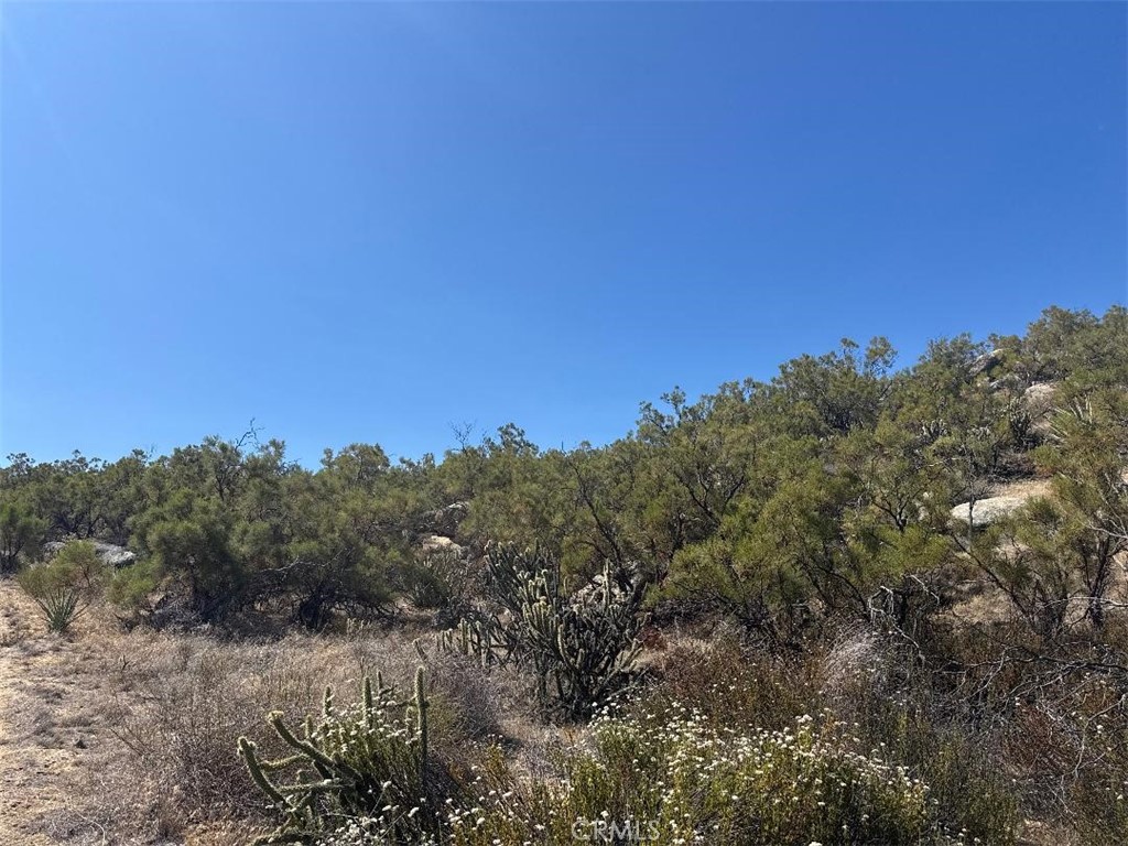 0 ShortCut Trail