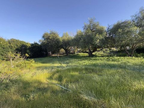 Tiny photo for 2227 Mapleleaf Ave Ave, Thousand Oaks, CA 91320 (MLS # 260005181SD)