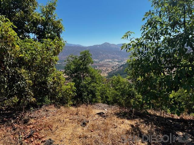 Tucked away in the scenic hills of Valley Center, this sprawling property is a rare gem—lush, private, and brimming with potential. While the Assessor’s record reflects 19.63 acres, the actual usable area is over 20 acres, giving you even more room to bring your vision to life. Fully irrigated and currently home to mature, platted avocado trees, the land is ideal for a variety of agricultural ventures. Whether you're dreaming of establishing a vineyard, creating your own income-producing grove, or exploring other crops, this property is a canvas for your rural vision. It’s also a potential candidate for the Crop Swap program, which may offer up to $22,500 per acre for transitioning avocado groves to grape production—adding serious value to an already promising investment. A 2” water meter is already in place, and power is conveniently located at the street. There’s a basic internal road system for access around the property, making it easier to navigate and plan future development. With no CC&Rs and no HOA, you have the freedom and flexibility to build your dream estate, develop an agricultural business, or both—without restrictions. Surrounded by rolling hills and sweeping natural views, this tranquil retreat offers the perfect blend of seclusion and accessibility. Just minutes from the acclaimed Pauma Valley Golf Course, local wineries, and charming countryside destinations, this is more than just a parcel of land—it’s your chance to claim a slice of Southern California’s agricultural gold.