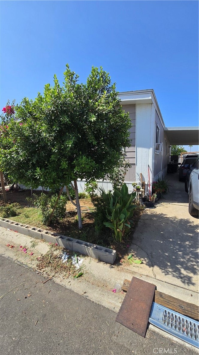 6601 Eucalyptus 232