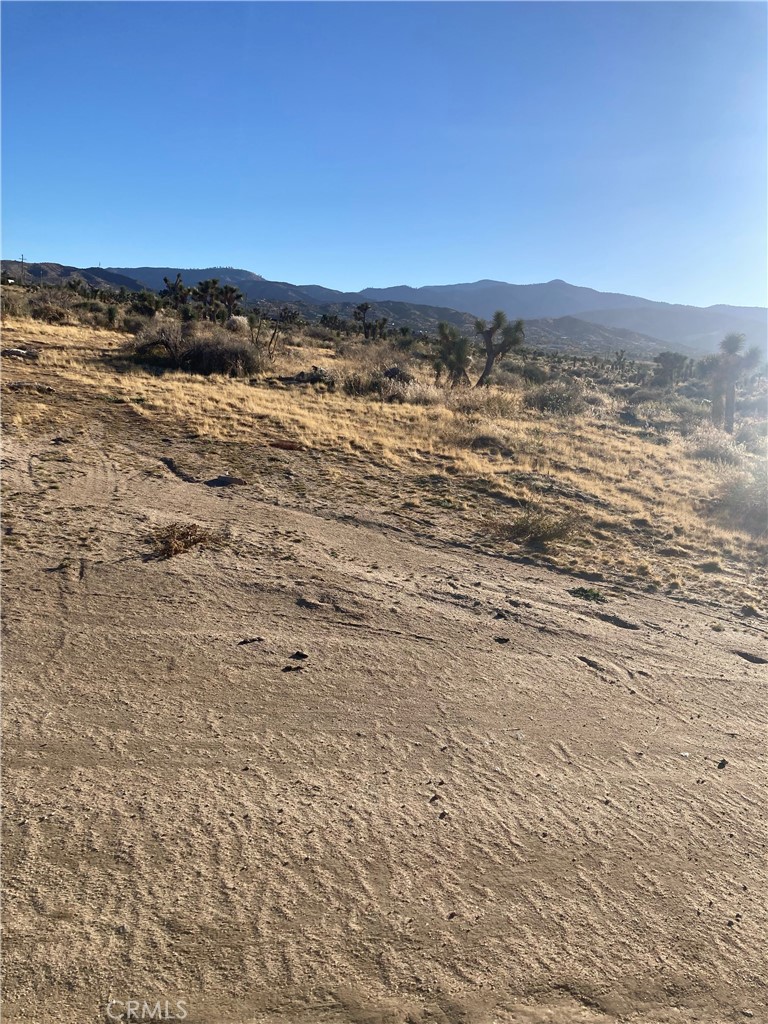 Flat lot with water meter already installed. Electric at street. Lot is in town. Walking distance to library and post office. Beautiful Mountain views. Owner has 3 more lots next to this one and call sell them all for a package deal.