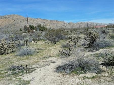 0 29 Palms Highway