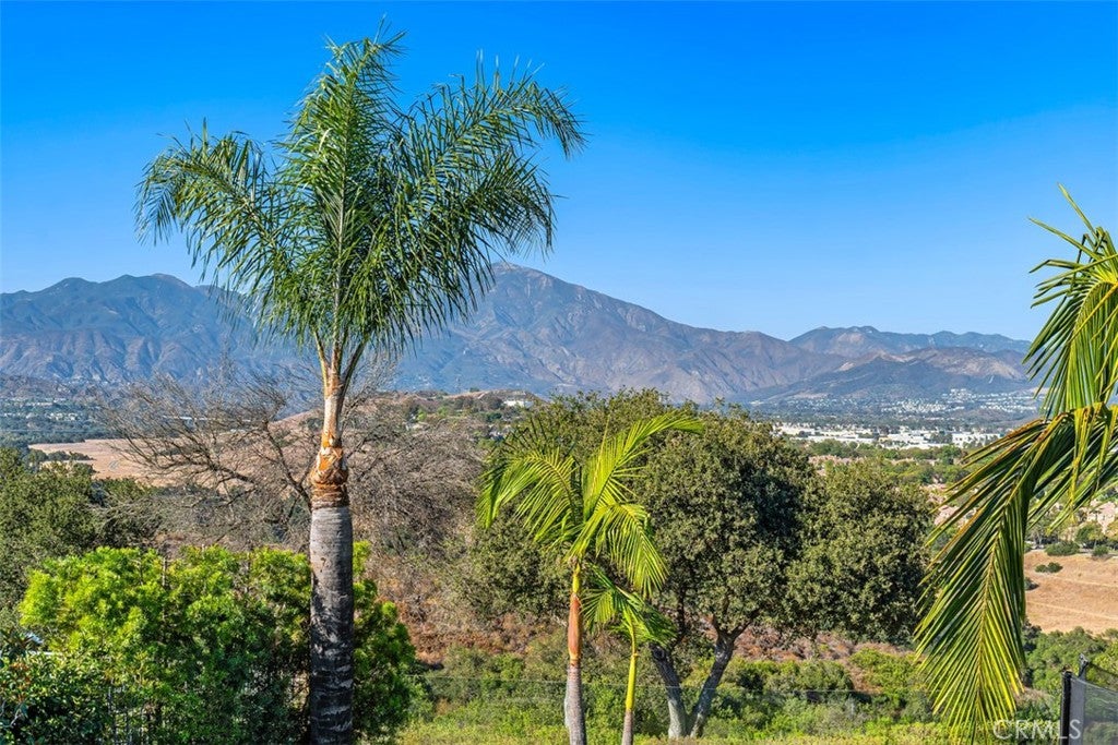 23888 Skyline, Mission Viejo CA 92692 - Photo 15