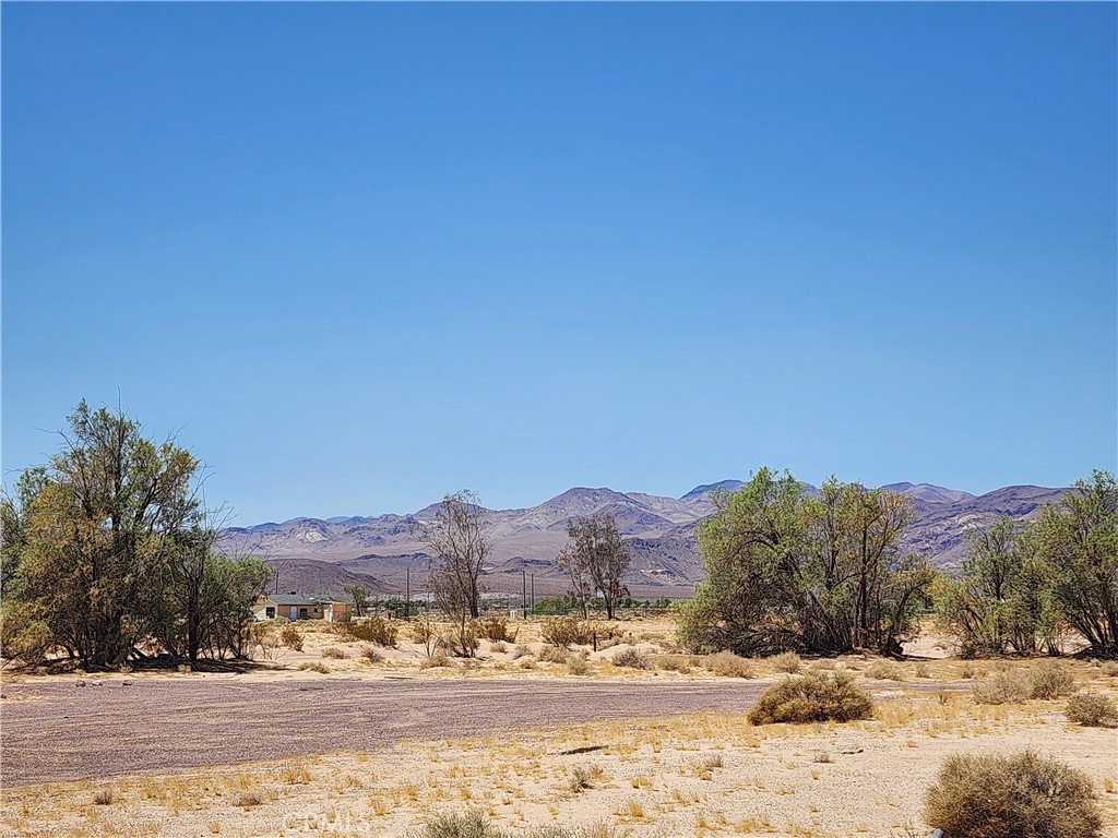 Over 10 level acres with prime location and flexible zoning just off of Interstate 40 at the Fort Cady Road exit. Huge potential with the easy access directly off of the Freeway exit and amazing RL (Rural Living) zoning. Potential for a home with a business such as farm, ranch, dog boarding, vineyard, orchard, livestock, chickens, horses, commercial vehicle parking, multiple residences, mobile home park and more! Check with San Bernardino County for potential uses. Older water well is on site and electricity is at the property entrance! Best of all, OWNER WILL FINANCE/CARRY with reasonable terms for the lucky Buyer! Don't miss this unique opportunity.