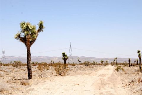 Photo of 16999 Holly Road, Phelan, CA 92371 (MLS # FR26027995)