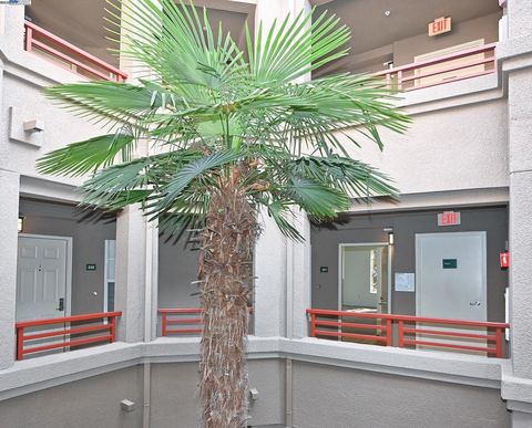 Photo of 280 Caldecott Ln Ln #221, Oakland, CA 94618 (MLS # 41115882)