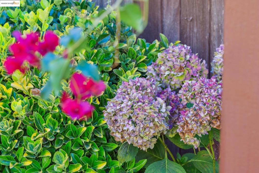 REDWOOD HEIGHTS - Residential