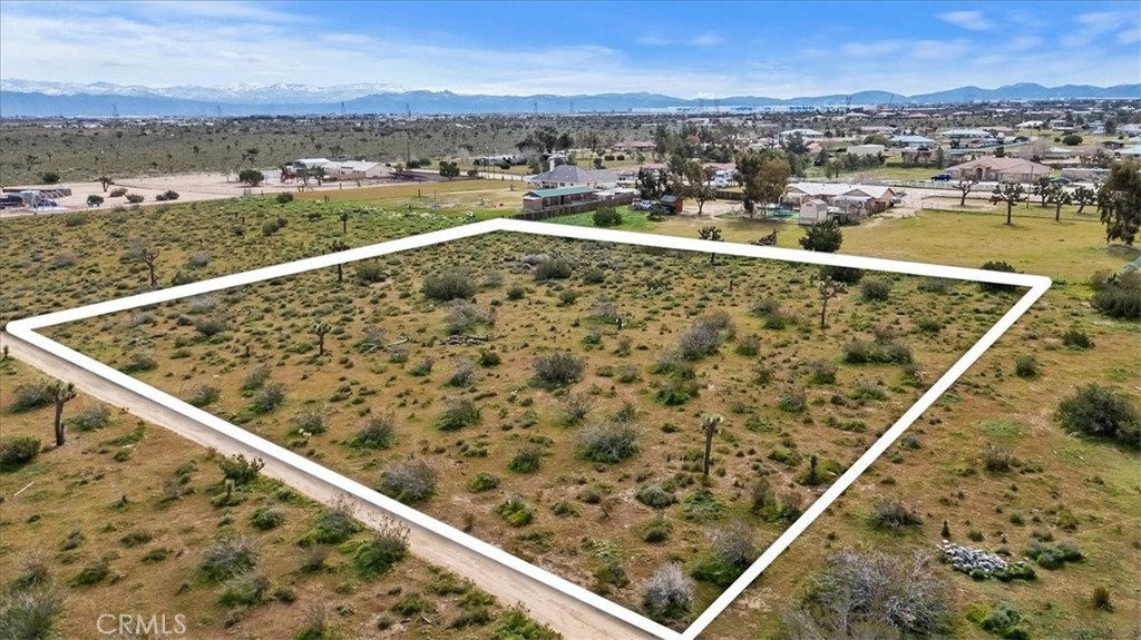 11161 Mesa