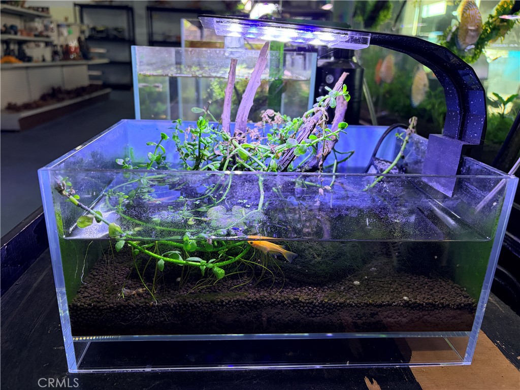 12152 Brookhurst Street