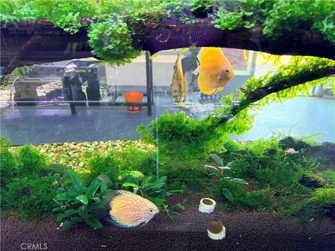 Photo of 12152 Brookhurst Street, Garden Grove, CA 92840 (MLS # OC26035238)