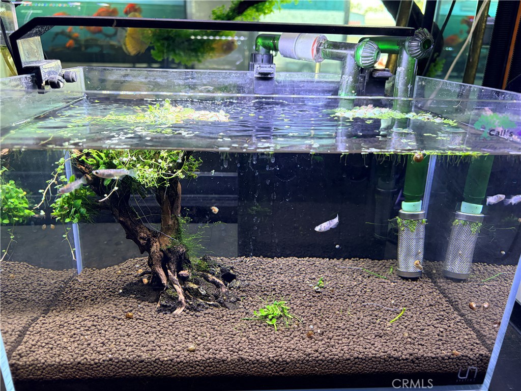 12152 Brookhurst Street