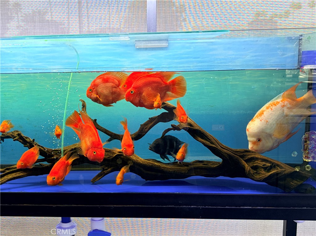 12152 Brookhurst Street