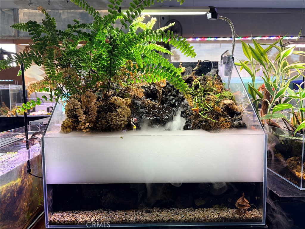 12152 Brookhurst Street