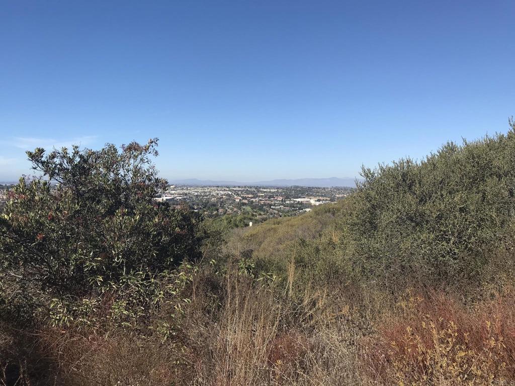 Vista Colina Drive
