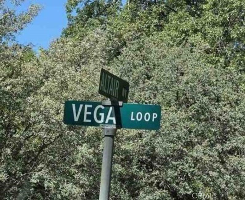 4175 Vega