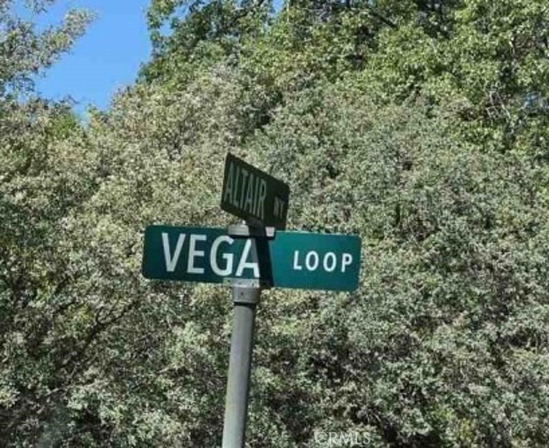 4175 Vega