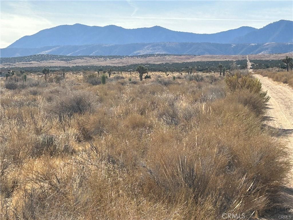 Incredible opportunity to own 38.8 acres of flat, usable desert land in Llano, CA. With sweeping mountain views and peaceful surroundings, this property offers the perfect canvas for an off-grid homestead, recreational retreat, or long-term investment. Easily accessed via Ave X8 and Fort Tejon Rd, the parcel features open space, privacy, and potential for a variety of residential or agricultural uses (buyer to verify). Located just a short drive to Palmdale, Lancaster, and Hwy 138. No utilities currently on site. Buyer to conduct all due diligence with LA County.