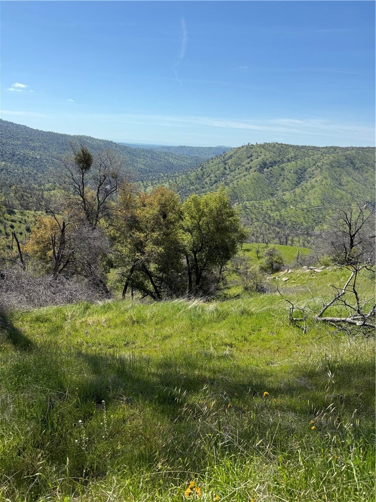 38914 Road 810
