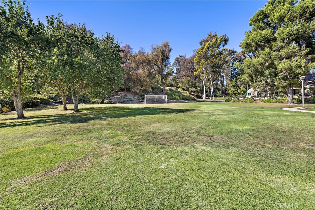 Niguel Woods (NW) - Residential