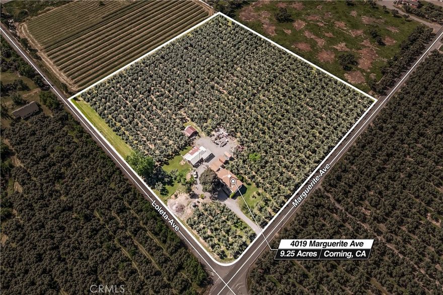 Charming 1920s Home on 9+ Acres with Producing Olive Trees



Welcome to this timeless 1920s home, proudly owned and cared for by the same family for over 50 years. Nestled on a scenic 9.17-acre corner lot, this unique property offers a rare blend of country charm, agricultural potential, and proximity to city conveniences.



The land features mature, producing olive trees, beautifully maintained grounds, and flood irrigation supported by a newer agricultural well—ideal for farming or hobby agriculture.



The home itself has been thoughtfully expanded over the years. Inside, you'll find four bedrooms (one currently used as an office with a skylight), updated bathrooms, a remodeled kitchen, and a spacious permitted family room. A large storage room, also permitted (per seller), offers potential for additional living space, workshop, or hobby area.



Outdoors, the property boasts multiple outbuildings of various sizes, a small animal pen, and a structure previously used as sleeping quarters—giving you even more options for use and customization.



Located just outside the city limits, you’ll enjoy peace and privacy without sacrificing access to schools, shopping, and everyday amenities.



Whether you're dreaming of a family homestead, a mini farm, or simply more space to spread out, or subdivide for investment, this property delivers.



Don’t miss this opportunity—contact your Realtor today to schedule a private showing!  Sellers very motivated bring all offers.