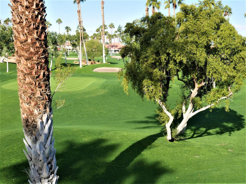 Palm Royale - Residential