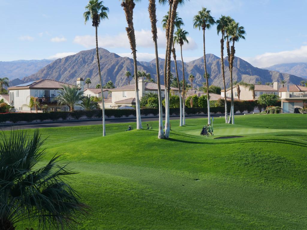 Palm Royale - Residential