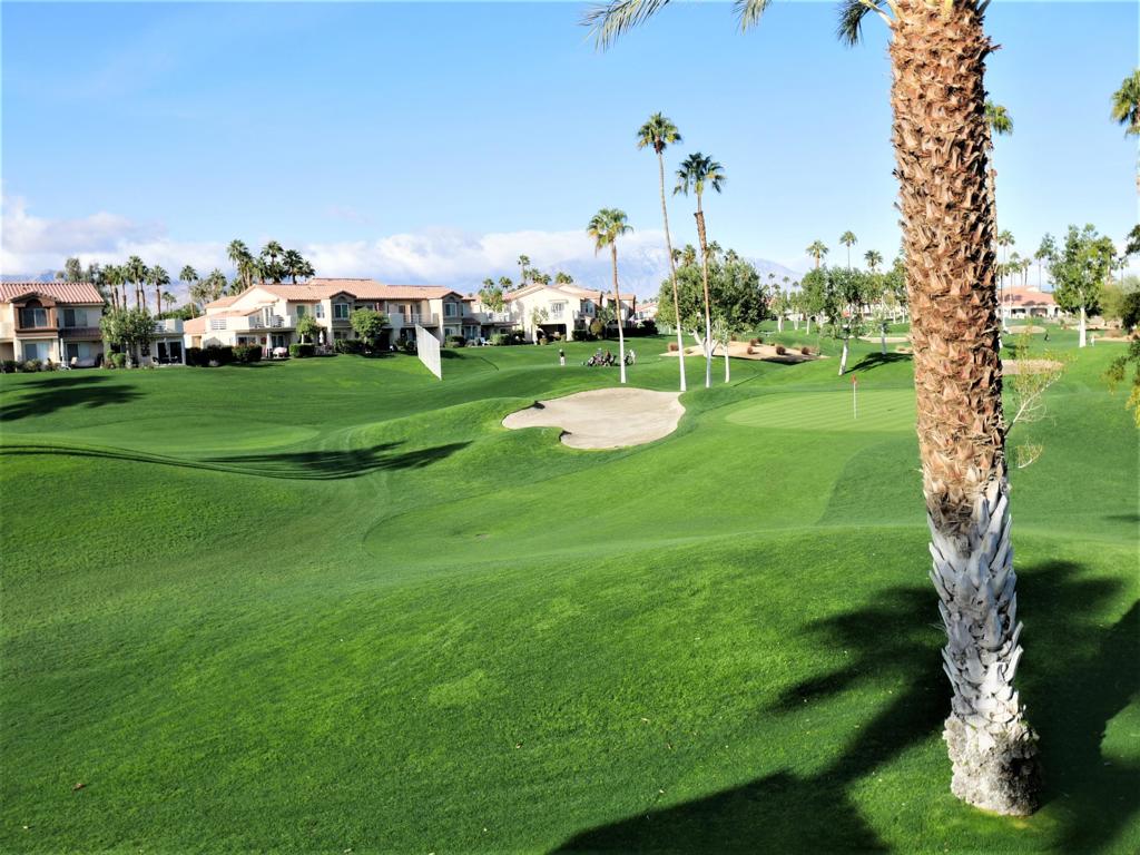 Palm Royale - Residential