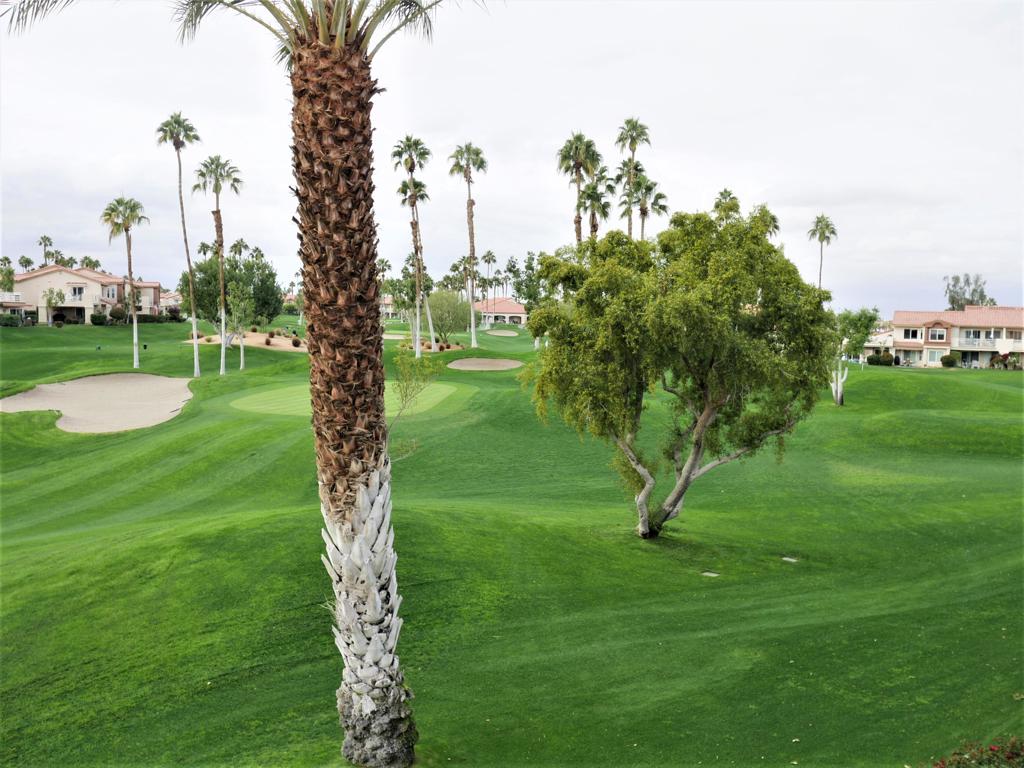 Palm Royale - Residential