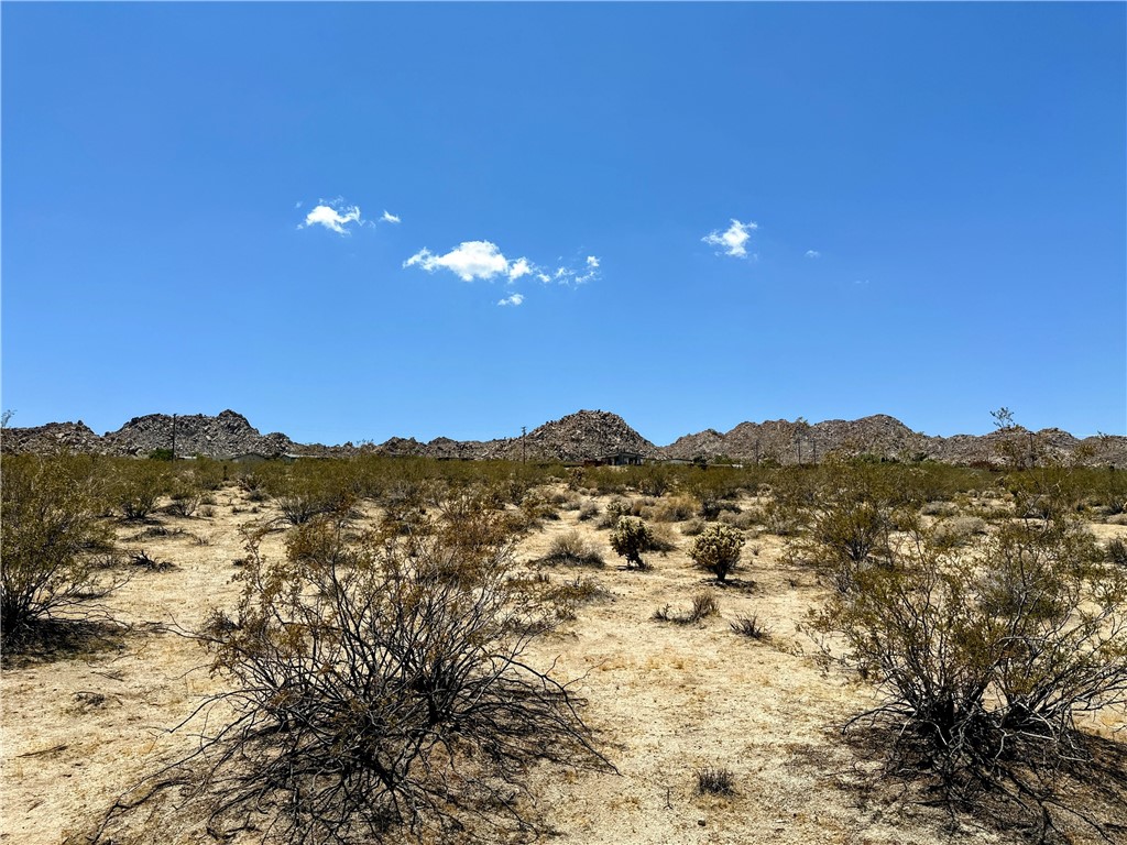 Magnificent 10 acre parcel situated high up on the south side of Joshua Tree offering incredible desert views. Located on Sullivan Rd off of Hollinger Rd in the Hospital District area. Potential to create your dream desert home. Utilities available. JT/RL zoning. Short drive to downtown shops, amenities, and attractions. 15 minutes to the Joshua Tree National Park entrance. Don't let this opportunity pass you by! GPS: (34.1285871, -116.2613754) APN: 0607-091-01-0000. If looking for additional acreage, the neighboring 10 acre lot is also available (APN: 0607-091-02-0000).