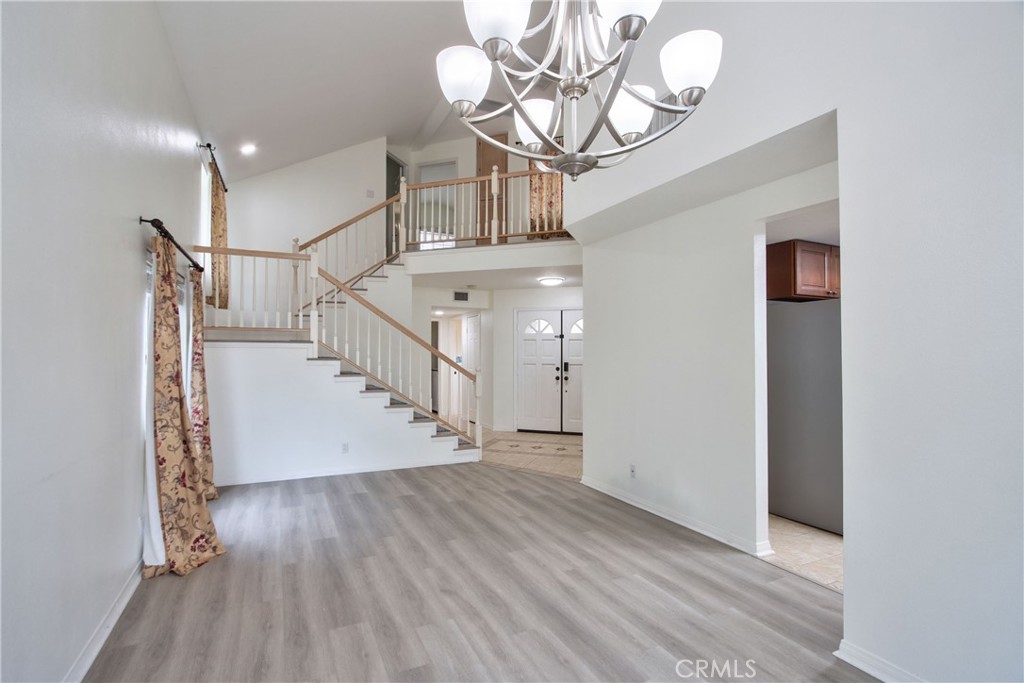 24055 Golden Pheasant