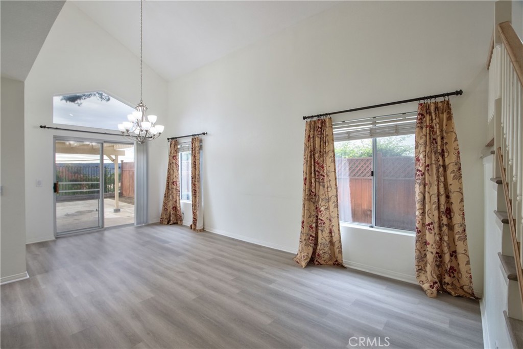 24055 Golden Pheasant