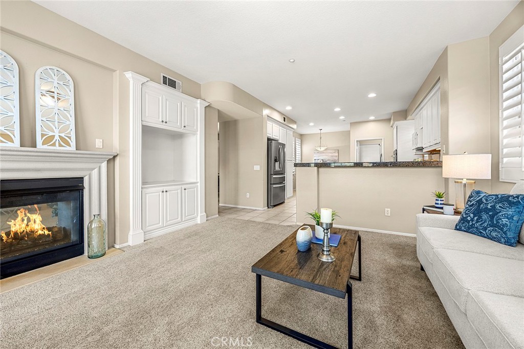 17206 Coriander Court
