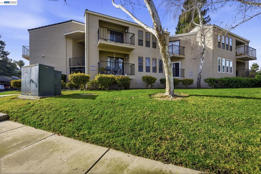 39490 39490 Albany Cmn X