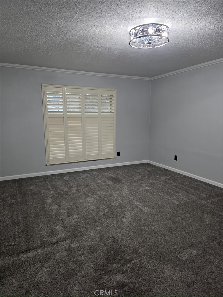 2988 Briarwood Court