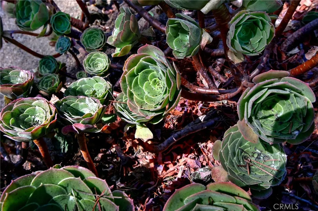 Culver City, California 90232, United States, 4 Bedrooms Bedrooms, ,4 BathroomsBathrooms,Residential,Active,181225