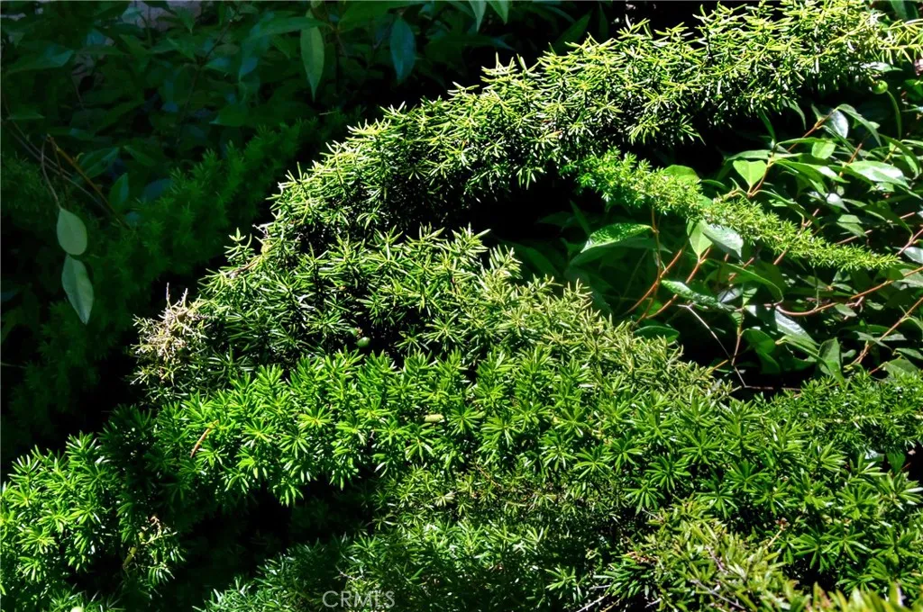 Culver City, California 90232, United States, 4 Bedrooms Bedrooms, ,4 BathroomsBathrooms,Residential,Active,181225